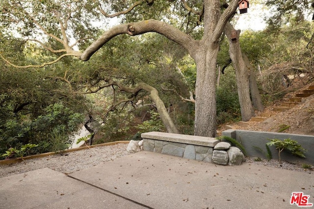 view of community with a patio