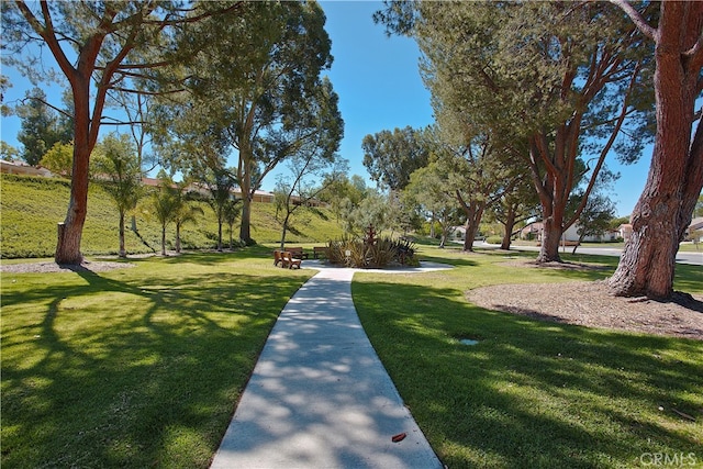 view of property's community with a yard