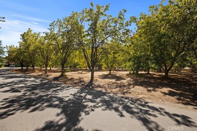 0 Bell Estates Dr, Chico, CA 95973 - photo 3