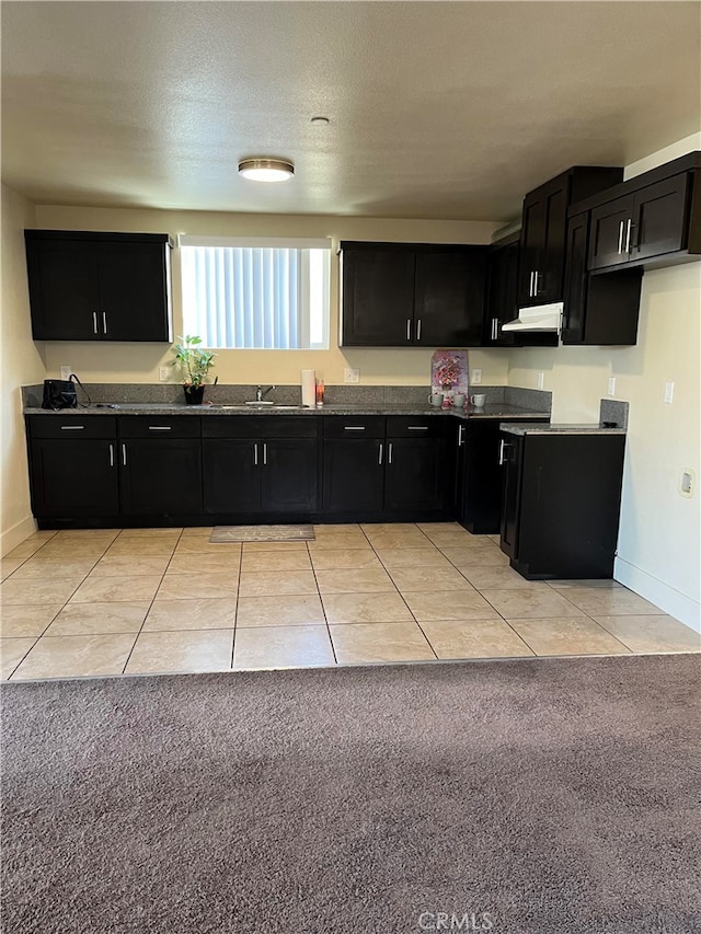 kitchen with light carpet, a textured ceiling, and sink