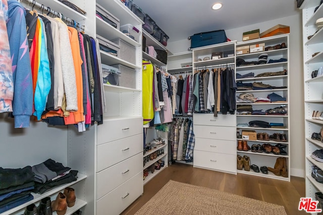 spacious closet with dark wood-type flooring