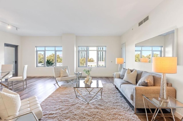 living room with hardwood / wood-style floors and track lighting