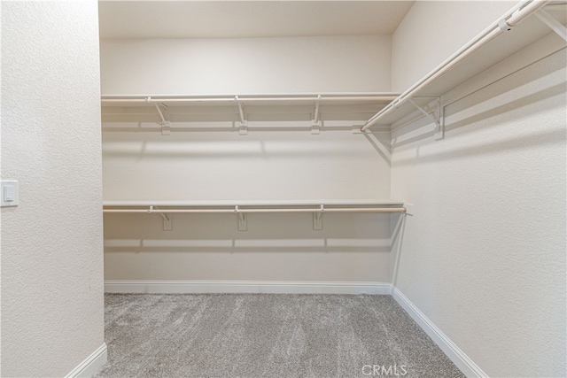 spacious closet with carpet floors