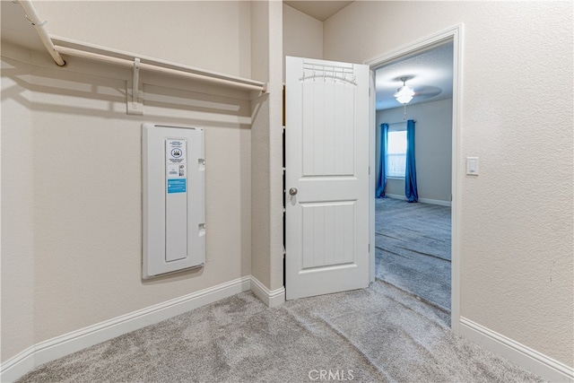 spacious closet with light carpet