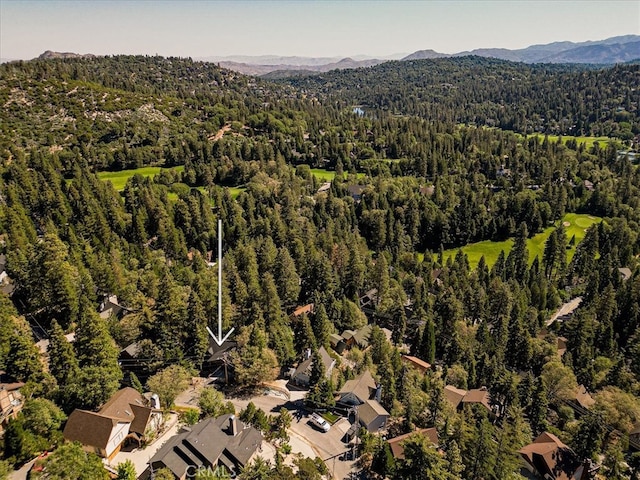 birds eye view of property with a mountain view