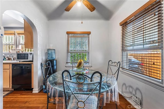 dining area featuring a wealth of natural light, sink, ceiling fan, and light hardwood / wood-style floors