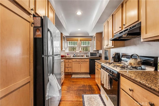 kitchen featuring dark wood-type flooring, sink, light brown cabinetry, light stone counters, and stainless steel appliances