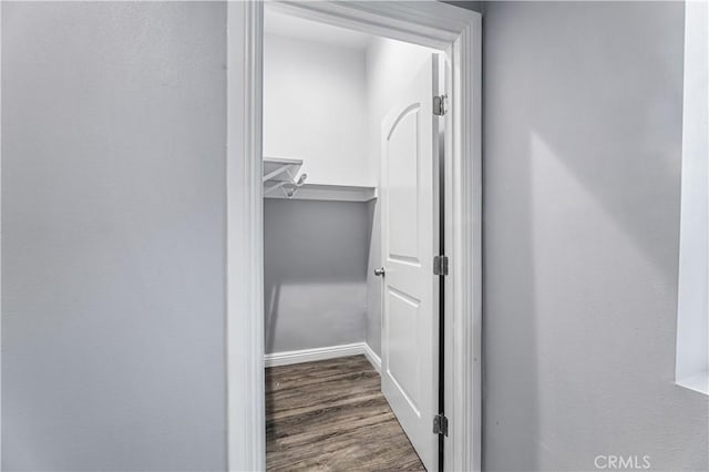 walk in closet featuring wood-type flooring