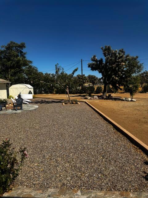 view of yard featuring a patio area