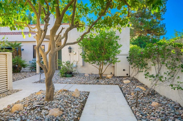 view of yard with a patio area