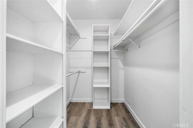 spacious closet featuring dark wood-type flooring