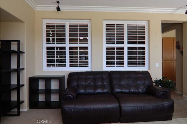 carpeted living room with ornamental molding