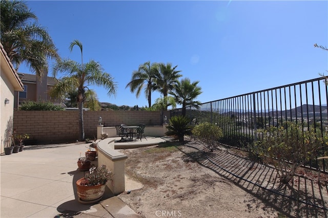 view of yard with a patio