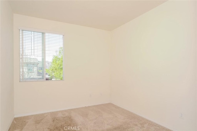 spare room with carpet floors