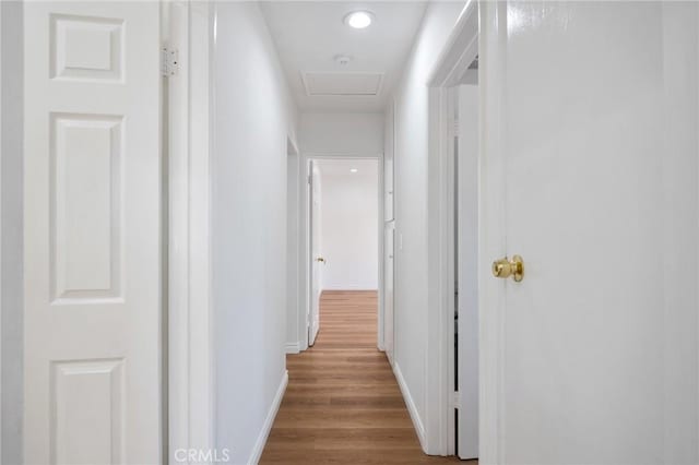 corridor featuring light hardwood / wood-style floors