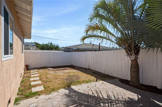 view of yard featuring a patio