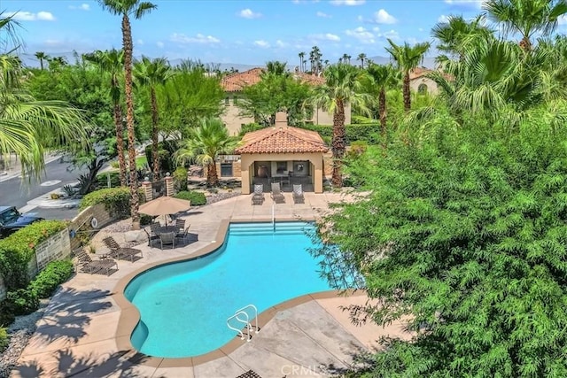 view of swimming pool with a patio area