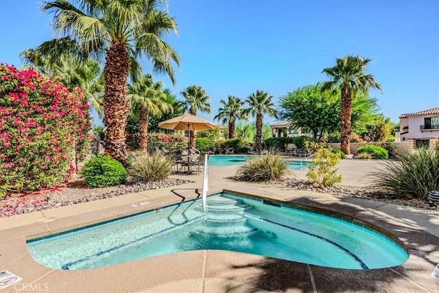 view of swimming pool with a patio area