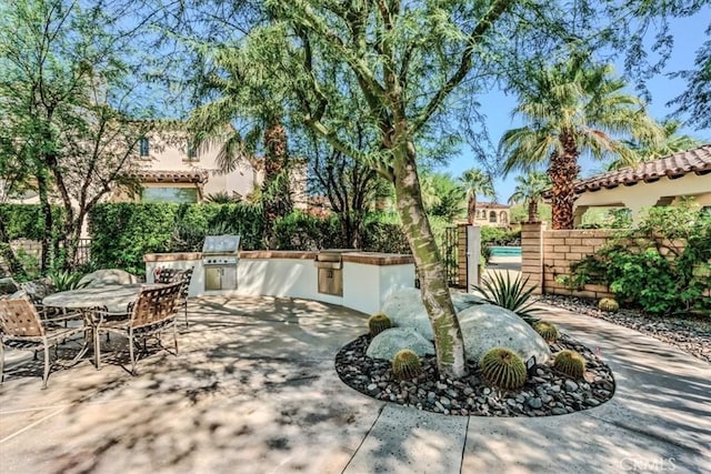 view of patio / terrace featuring area for grilling and an outdoor kitchen