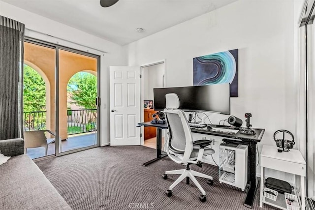 office space featuring carpet flooring