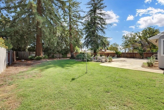 view of yard featuring a patio