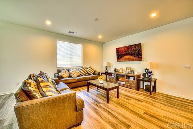 living room featuring hardwood / wood-style floors