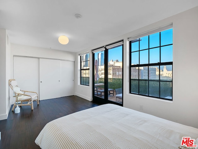 bedroom featuring multiple windows, a closet, and dark hardwood / wood-style flooring