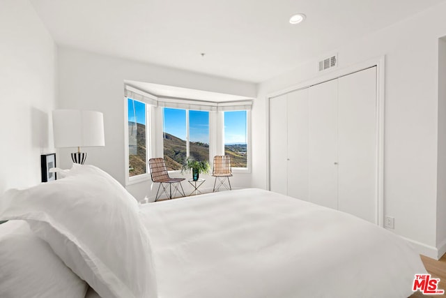 bedroom featuring a closet and hardwood / wood-style floors