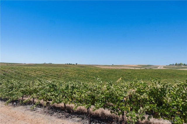 4616 Hog Canyon Rd, San Miguel, CA 93451 - photo 16