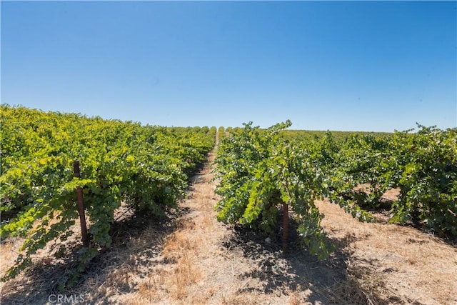 4616 Hog Canyon Rd, San Miguel, CA 93451 - photo 15