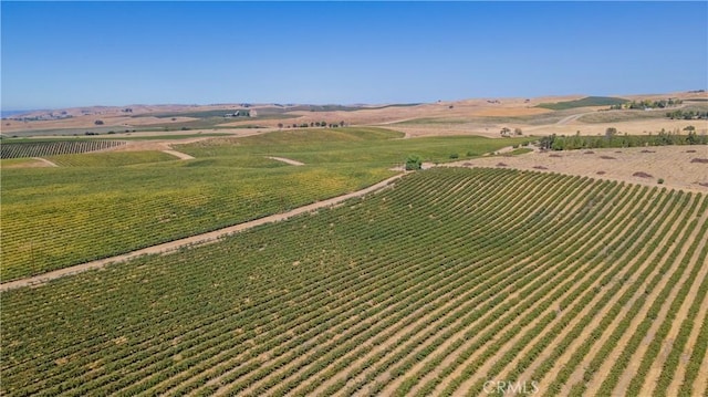 4616 Hog Canyon Rd, San Miguel, CA 93451 - photo 21