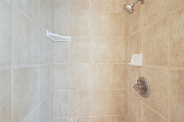 3185 Via Casita Pl, Chico, CA 95928 - bathroom view of tiled shower