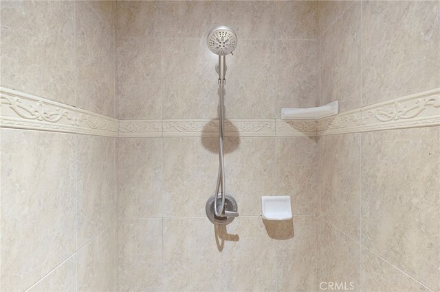 interior details featuring tiled shower