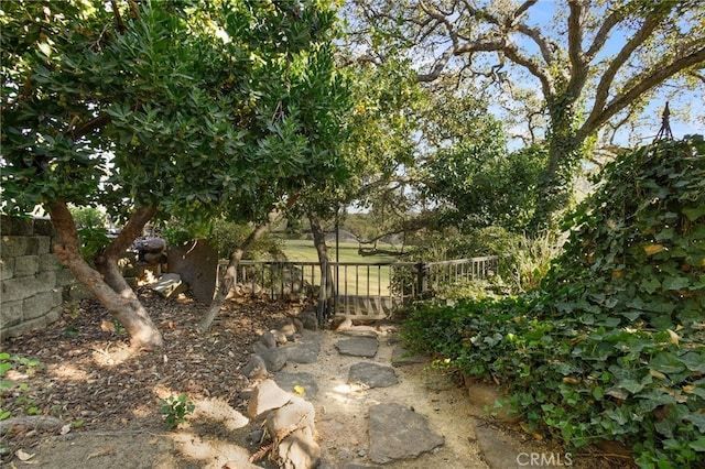 3185 Via Casita Pl, Chico, CA 95928 - view of yard