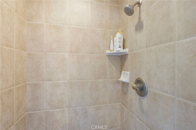 details with tiled shower