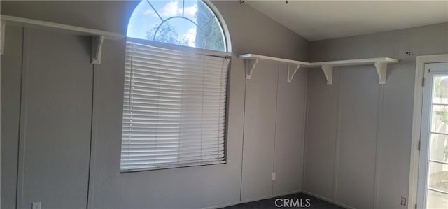 spacious closet with vaulted ceiling