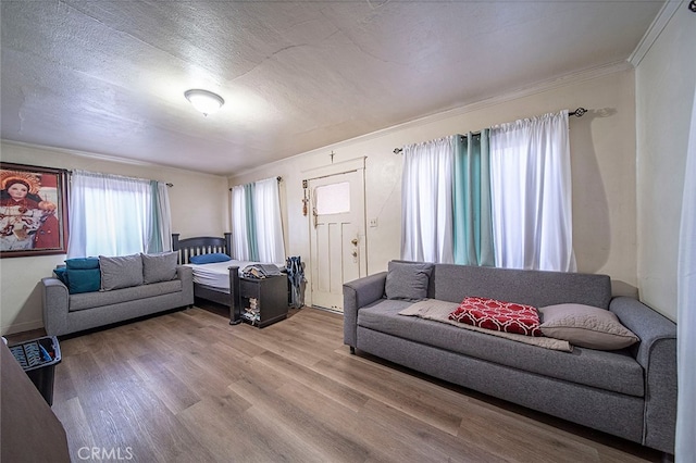 living room featuring crown molding, hardwood / wood-style flooring, and a textured ceiling