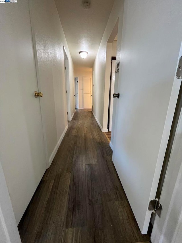 hall featuring dark wood-type flooring