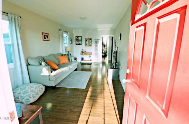 living room featuring dark hardwood / wood-style flooring