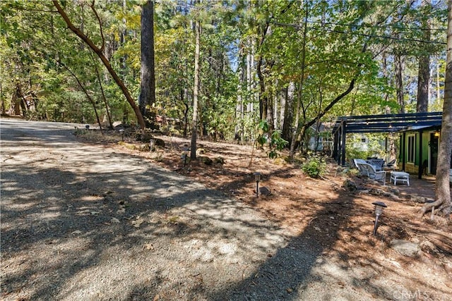 17040 Edgewood Way, Cobb, CA 95461 - view of yard