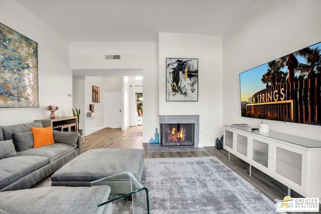 living room featuring wood-type flooring