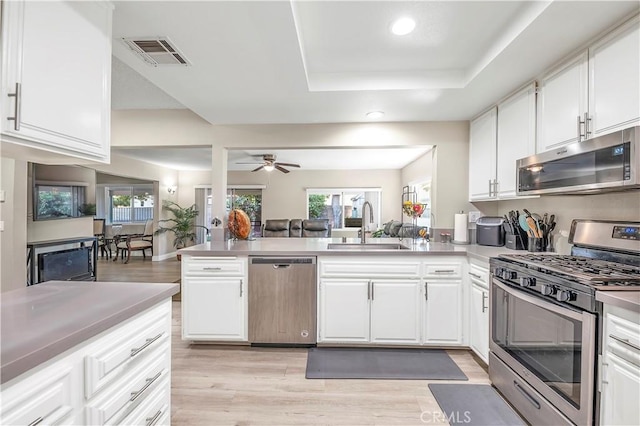 1186 Bottle Tree Way, Hemet, CA 92545 - kitchen with stainless steel appliances, a peninsula, light wood-type flooring, open floor plan, and a ceiling fan