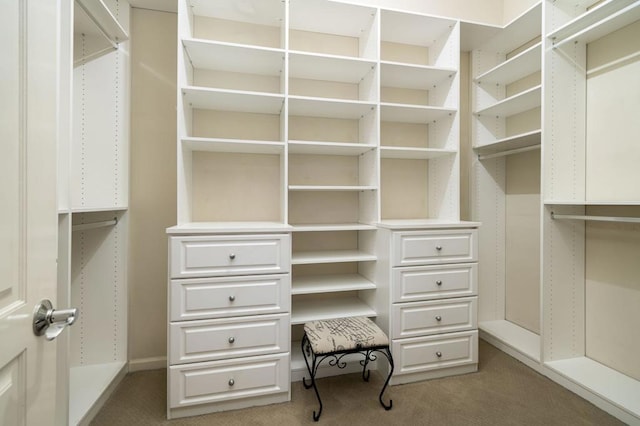 walk in closet with light colored carpet