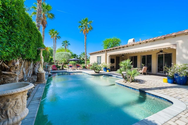 view of pool with a patio area, ceiling fan, and pool water feature