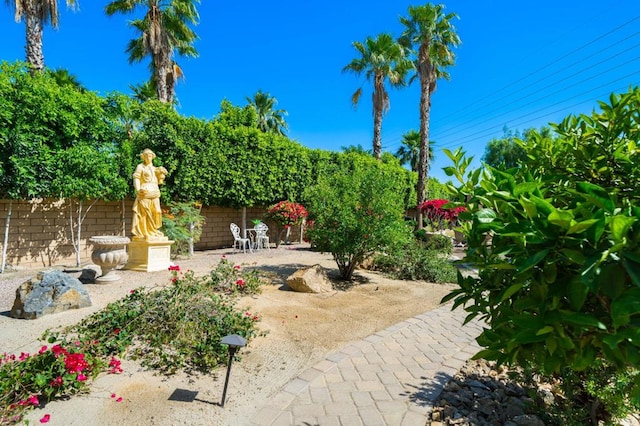 view of yard with a patio