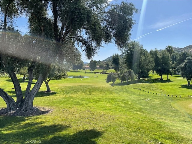 view of community featuring a yard