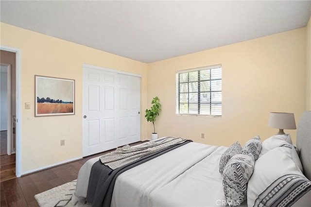 bedroom featuring dark wood-type flooring and a closet