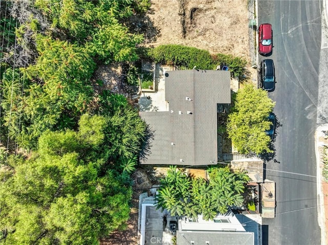 bird's eye view