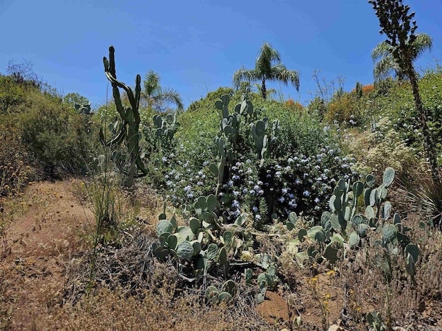 13690 Alta Loma Ln, Jamul, CA 91935