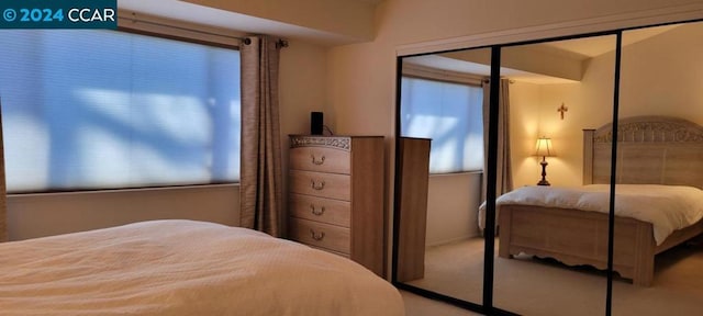 bedroom featuring multiple windows, a closet, and carpet flooring